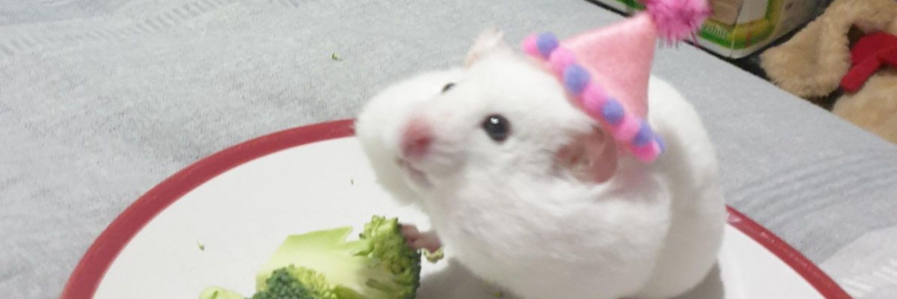 Elsie