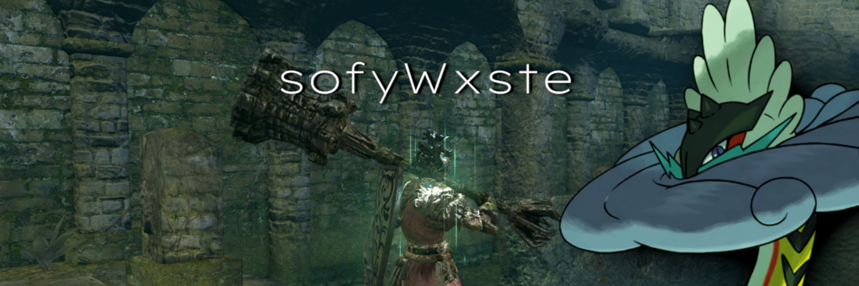 sofyWxste