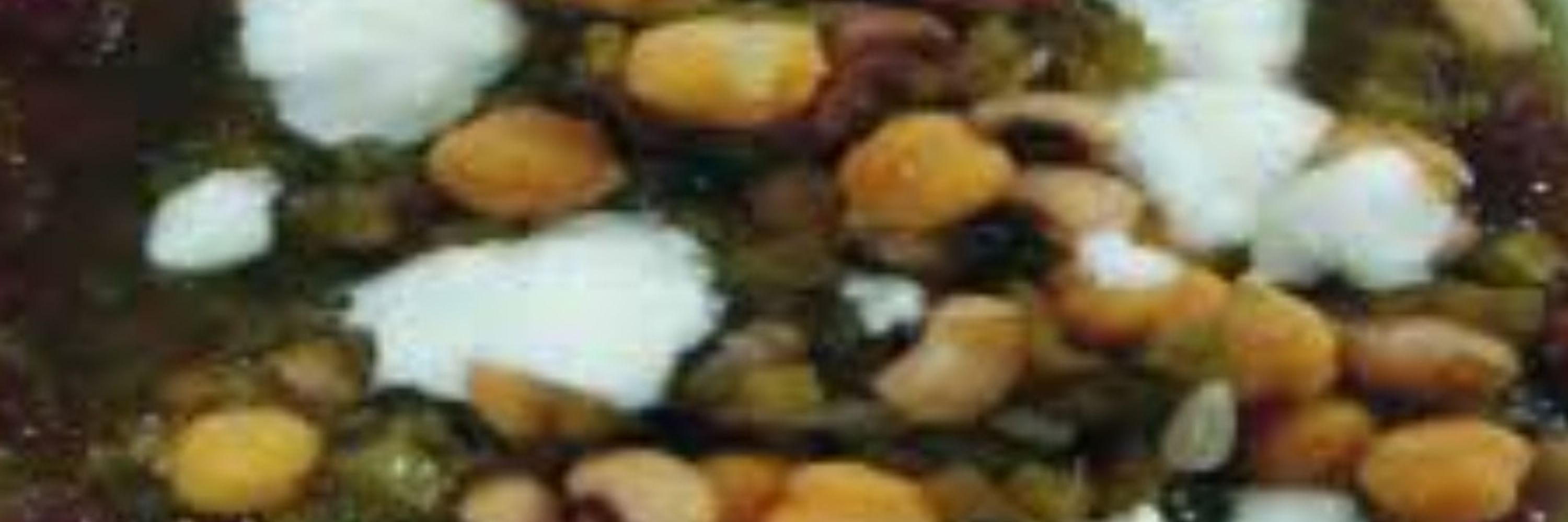 Borani