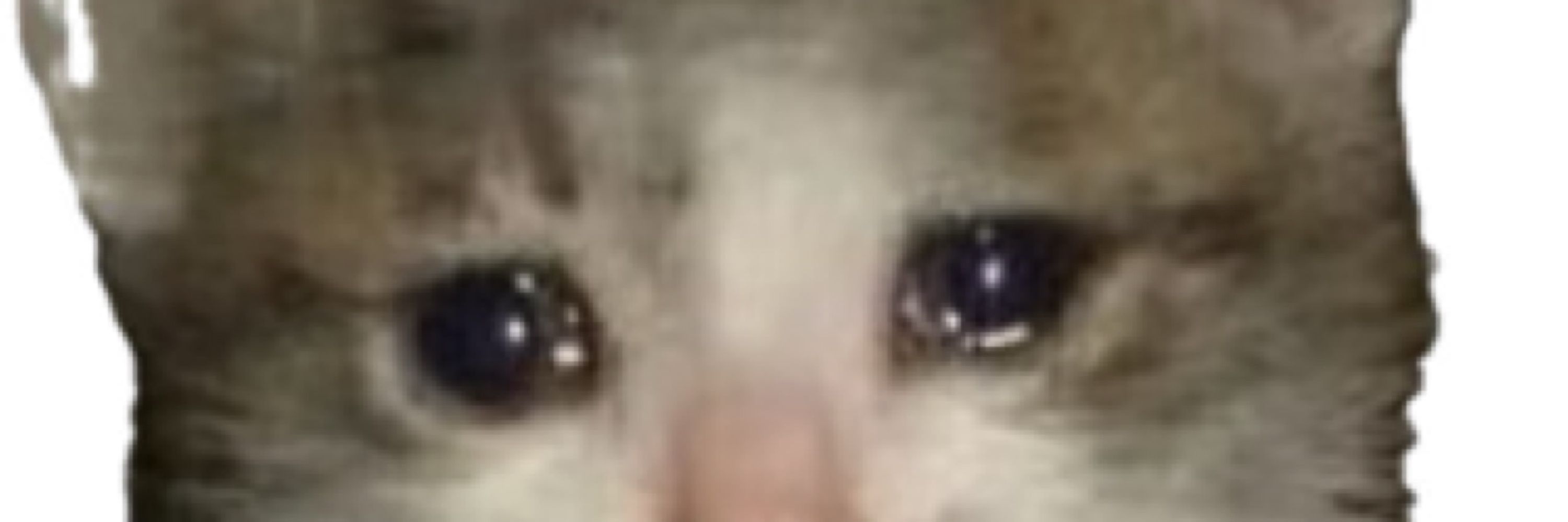 Fran