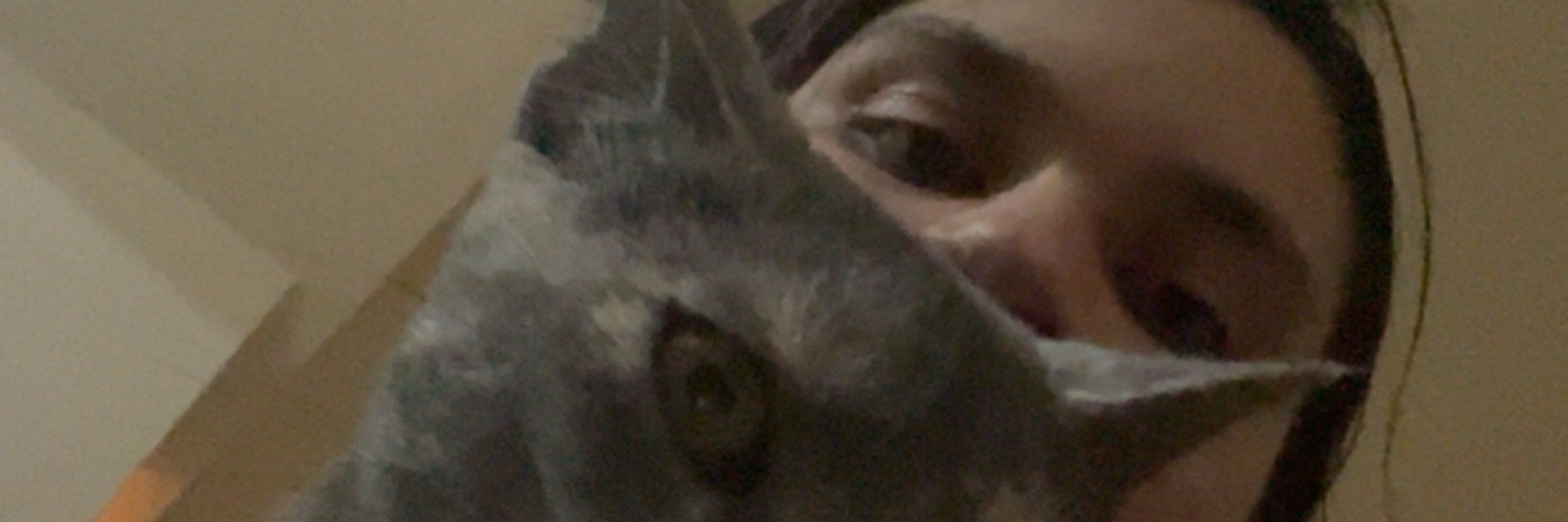Vaneza