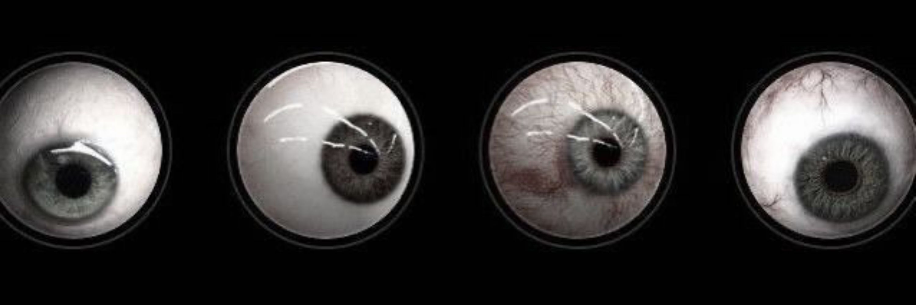 каришуля👁️