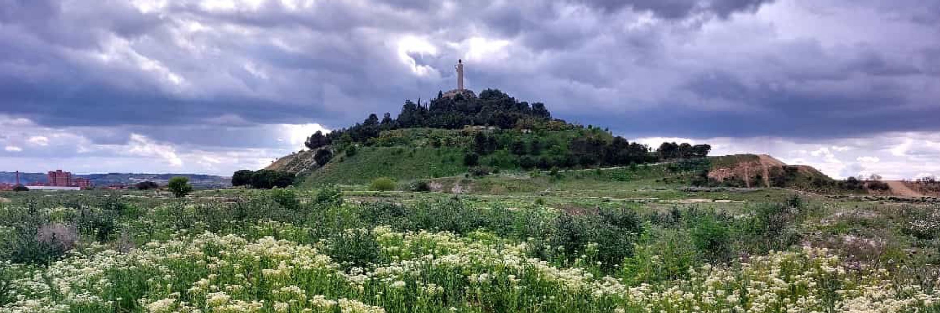 Vero