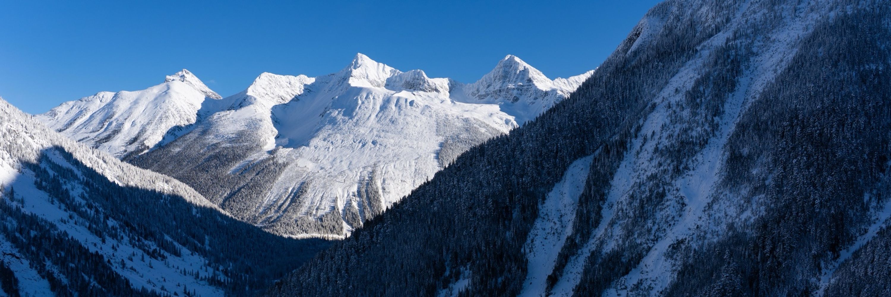 Mountain Training Center