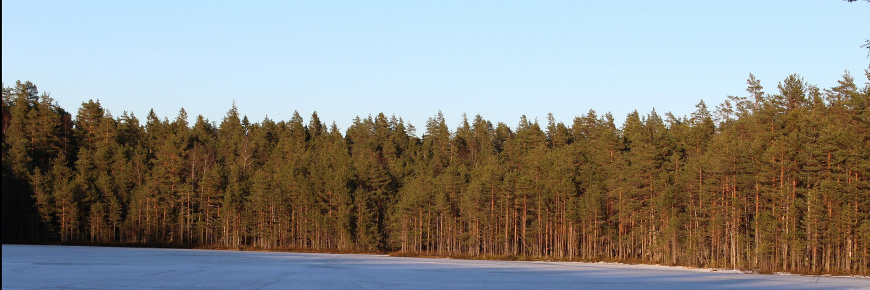 JyrkiKuoppala