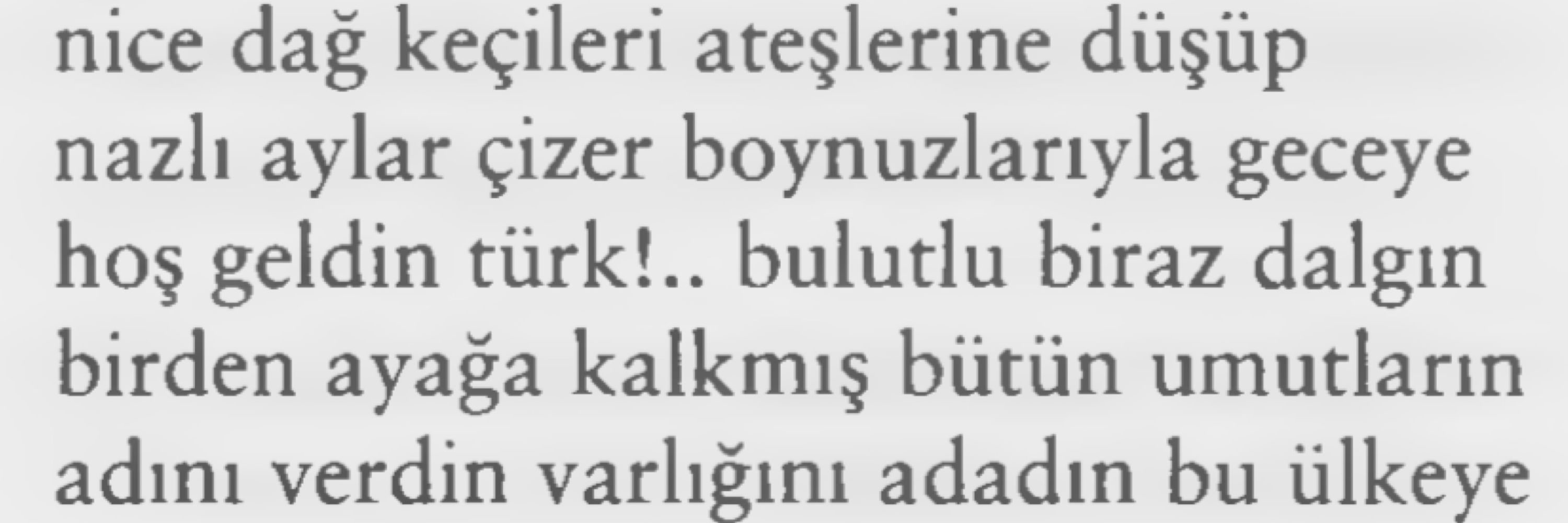 ayşegül
