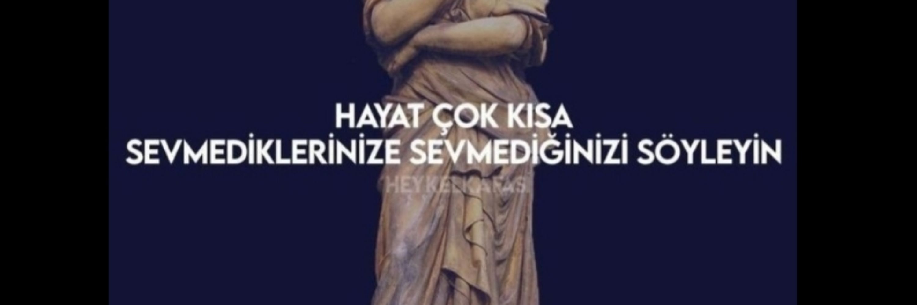 AyshenD.