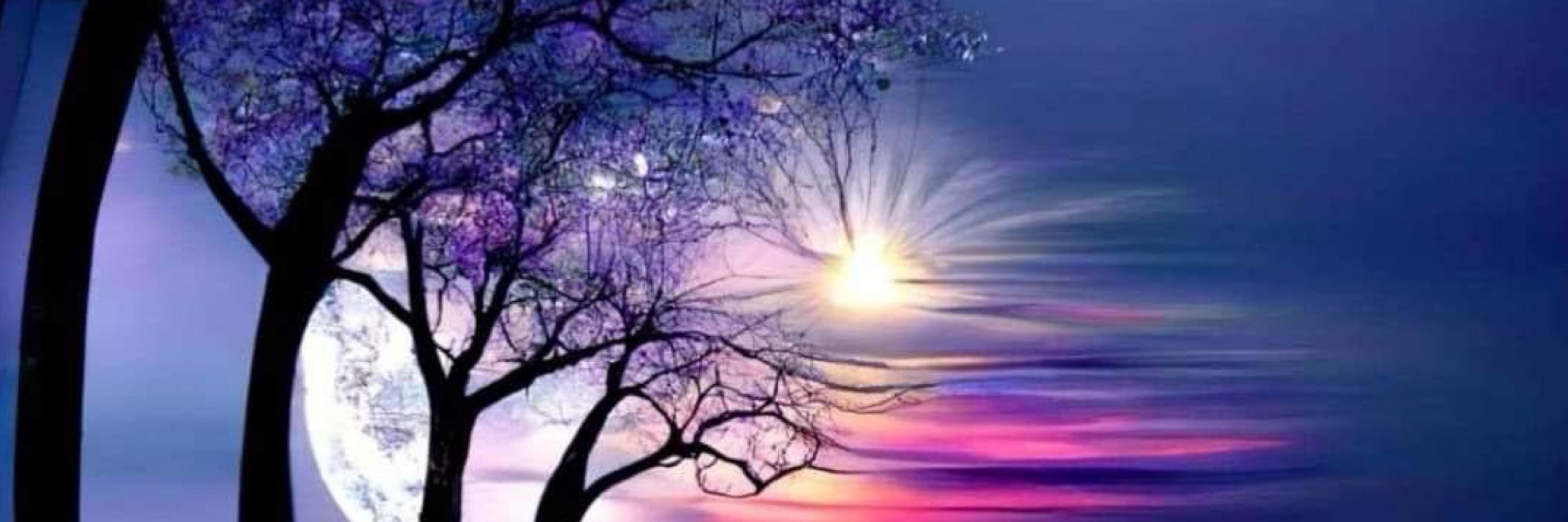 Bob Jo 💜🌸💜🌸💜
