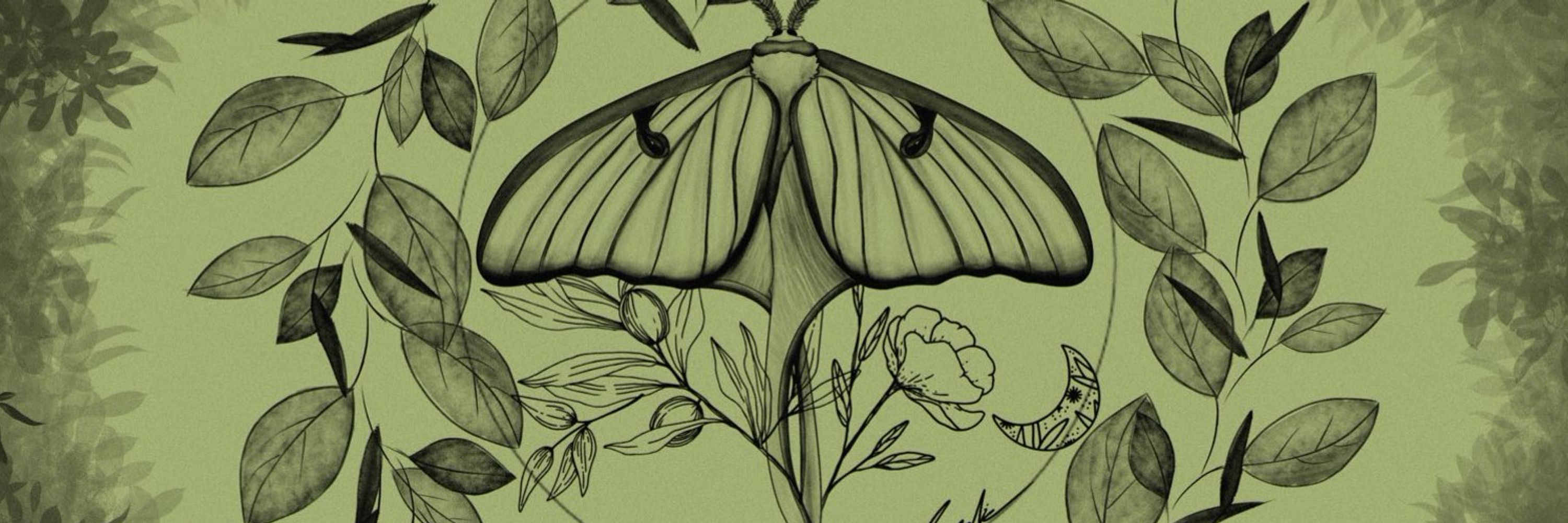 🌿Joyce🦋