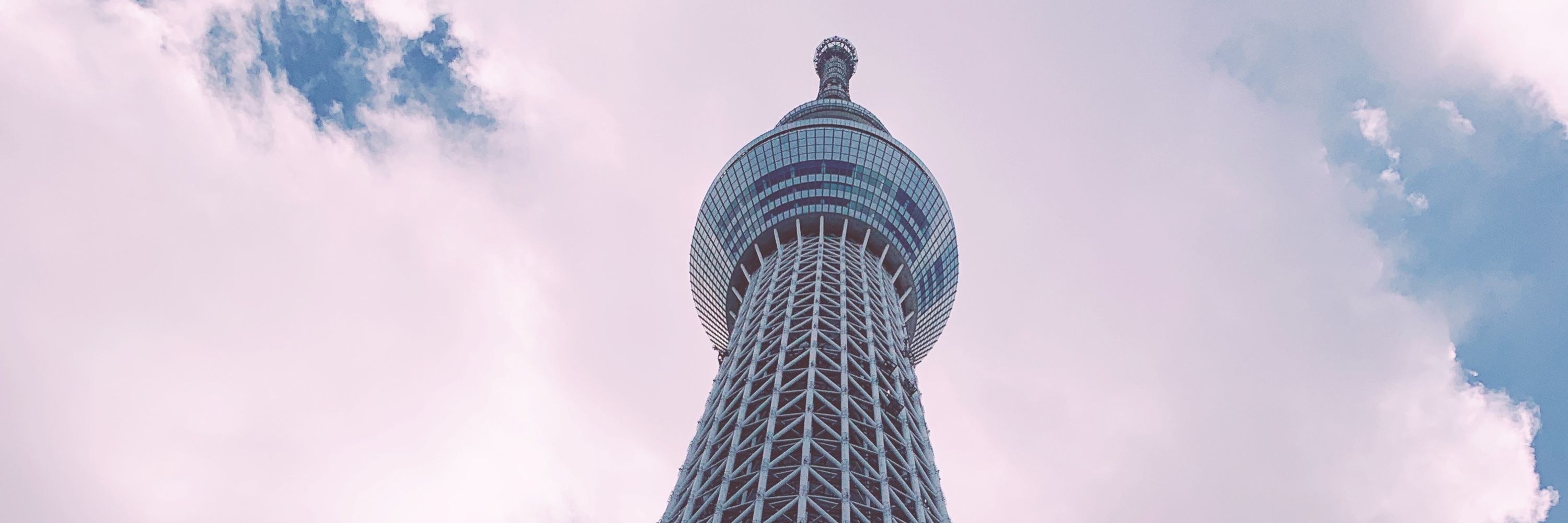 ゆかりライス並盛