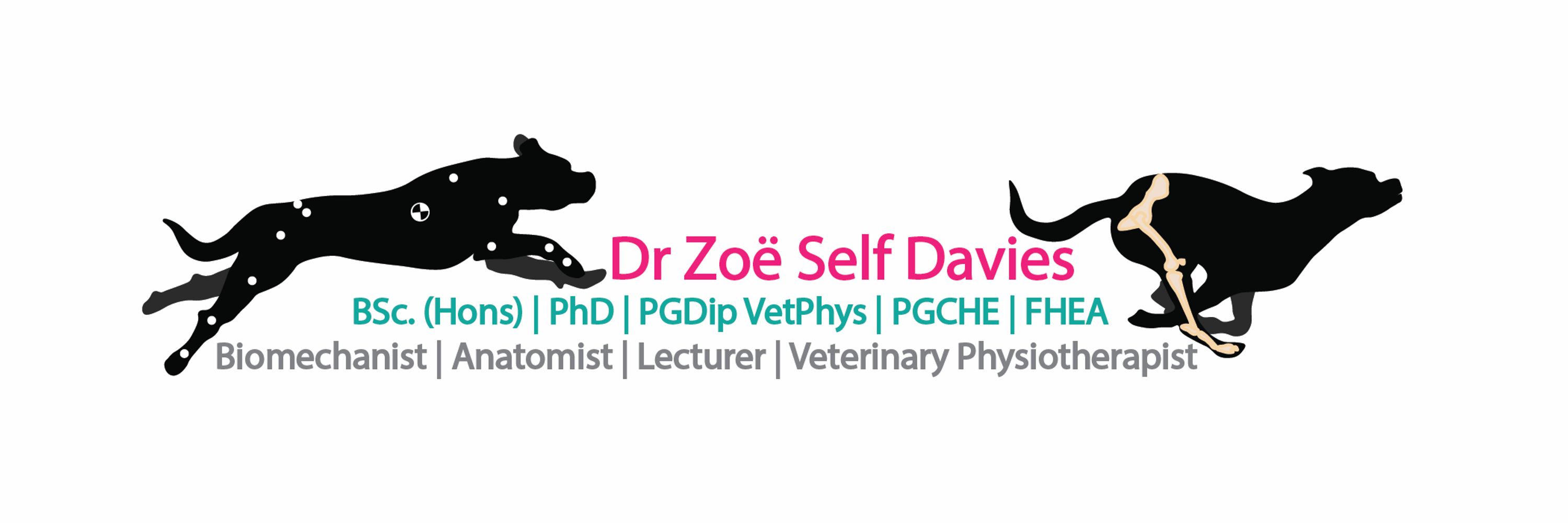 Dr Zoe Self Davies