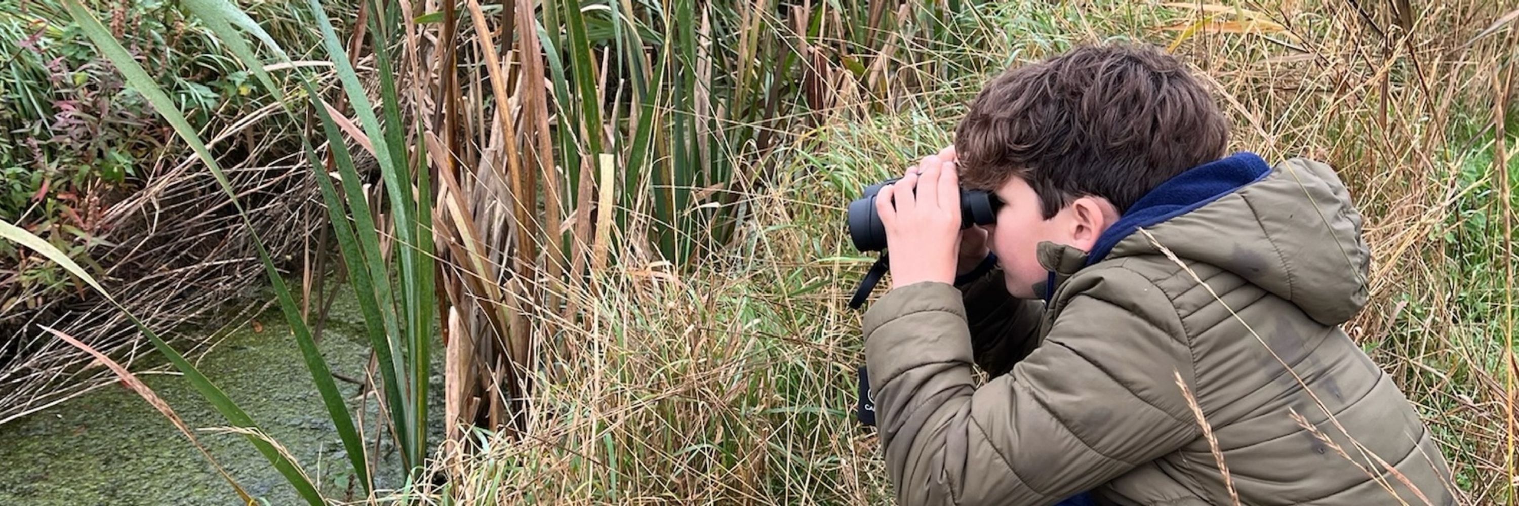Naturetastic Henry