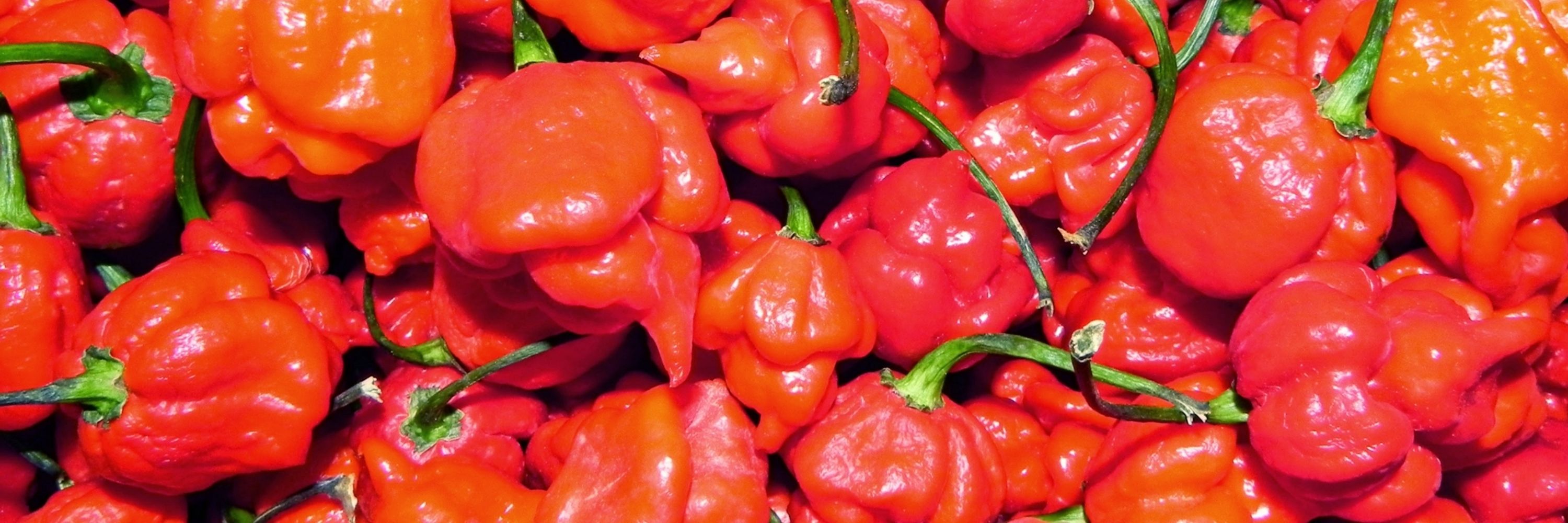 The Pepper Guy