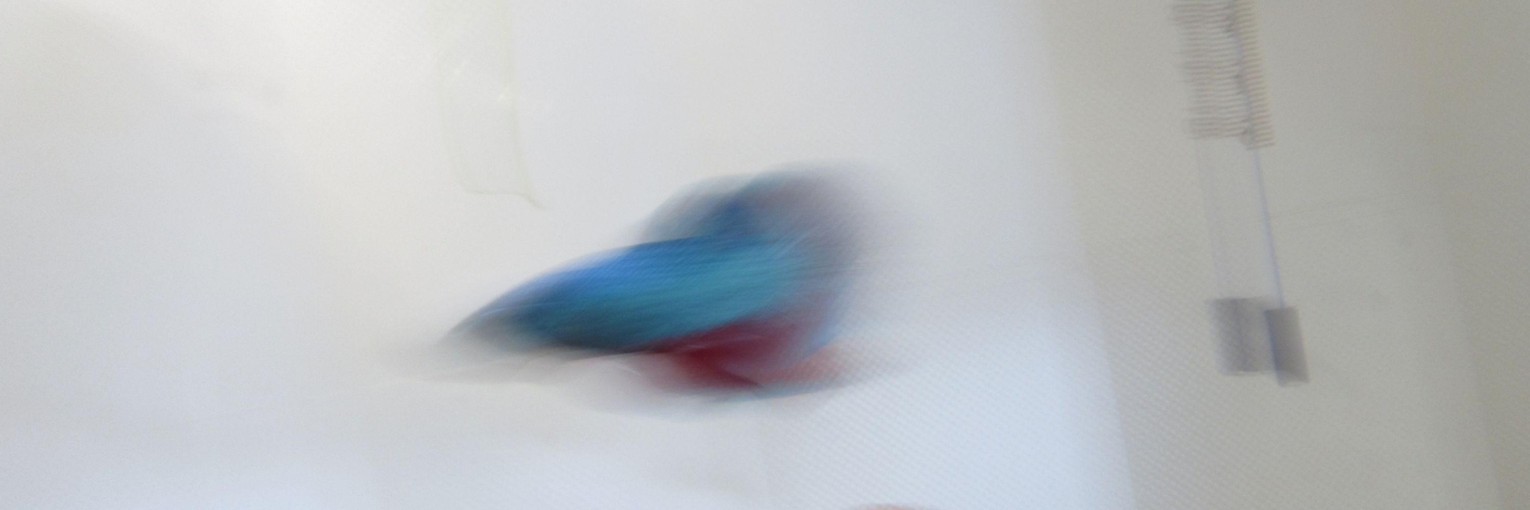 choki