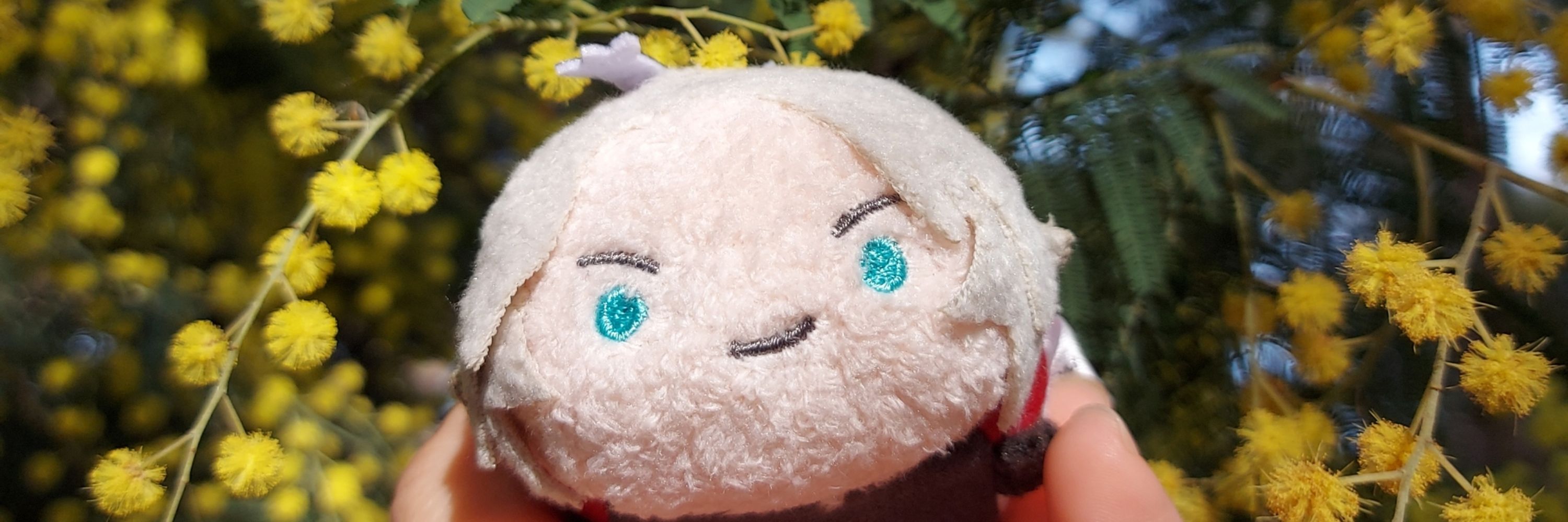 soratsubasa