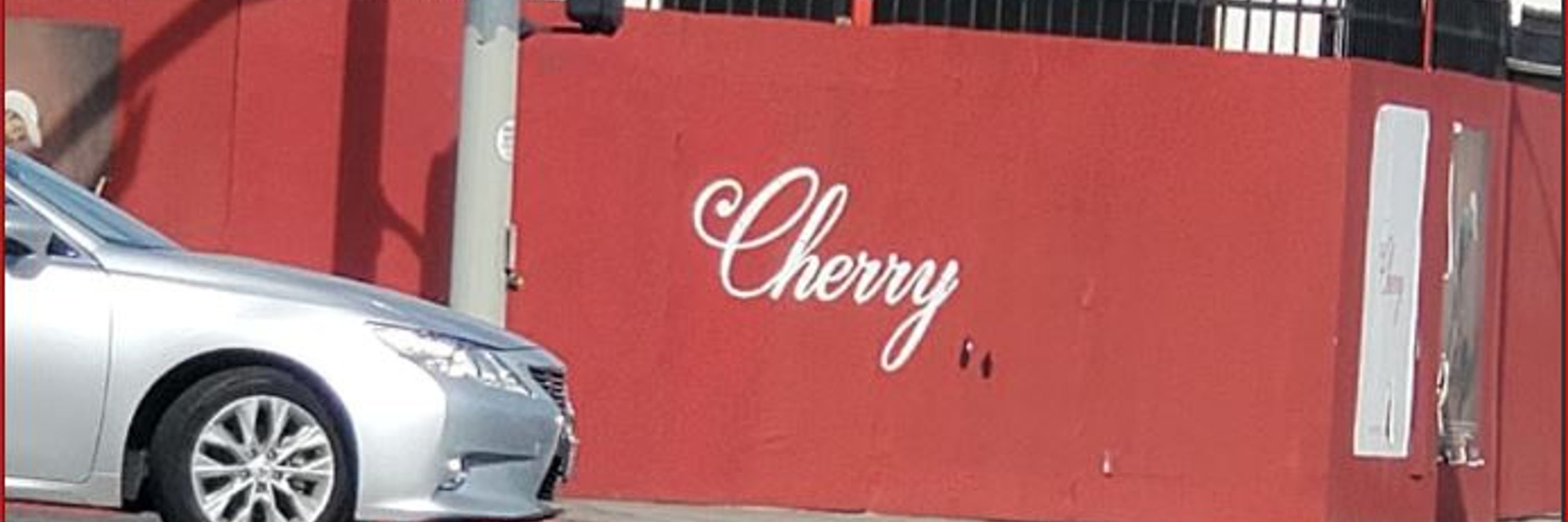 Mary Ann Cherry