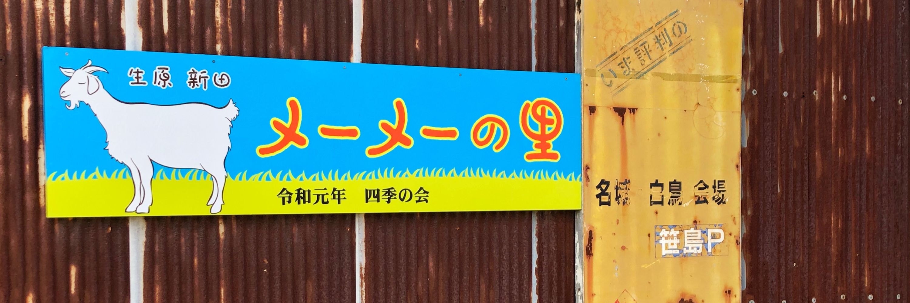 ポコ犬