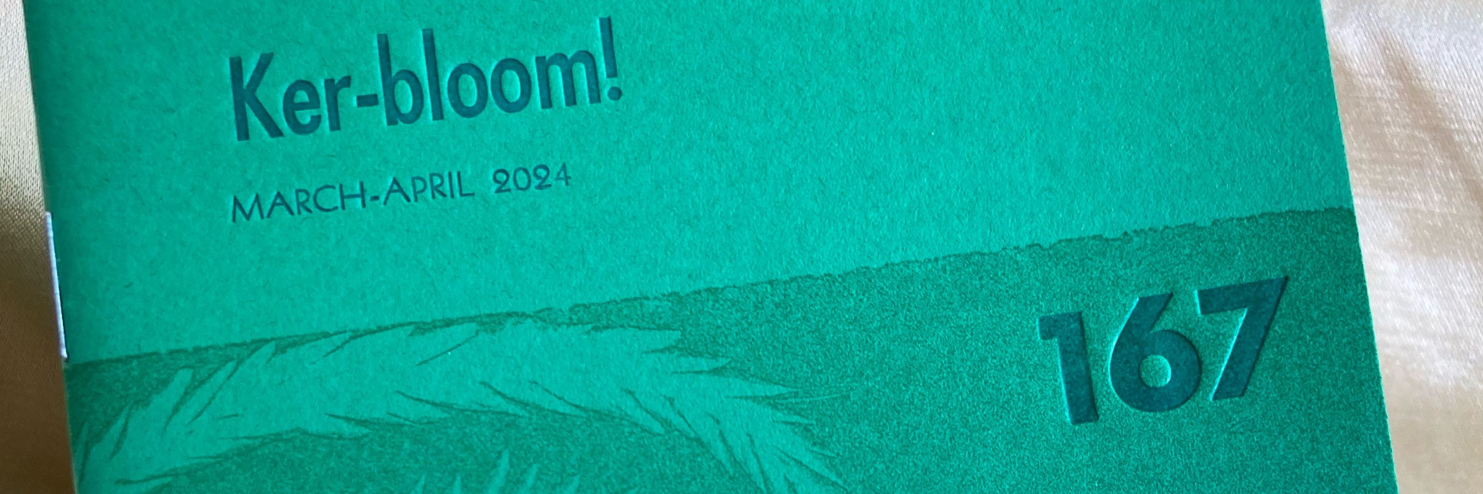 Ker-bloom! Zine