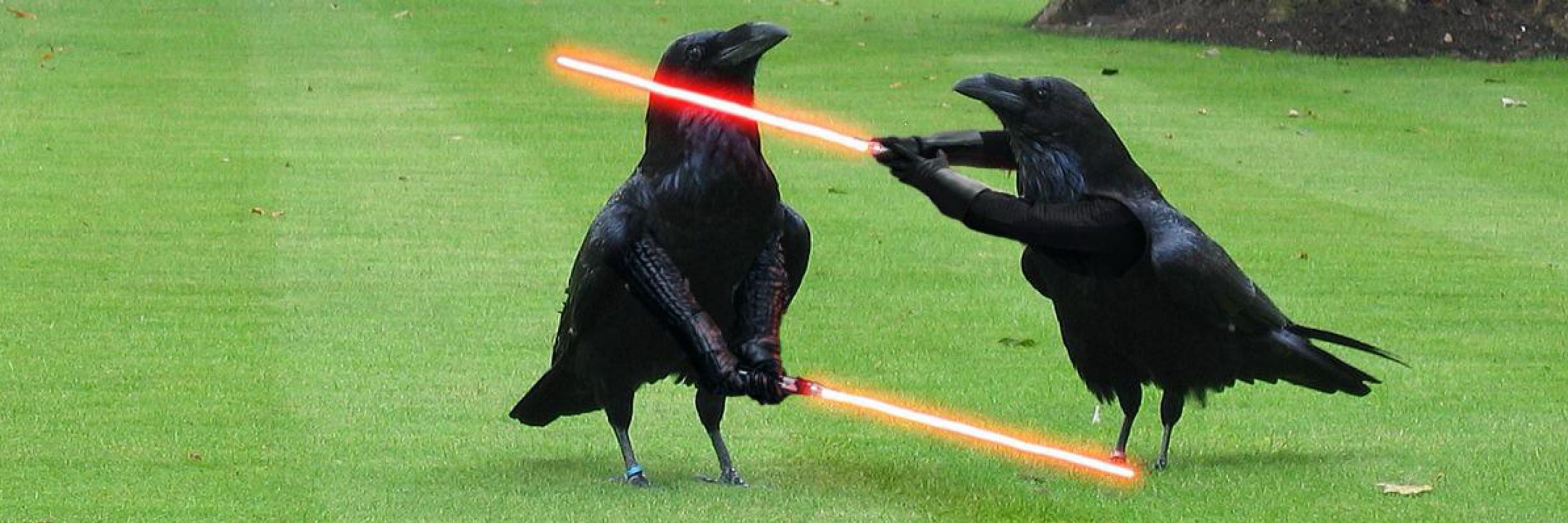 Darth Corvusss