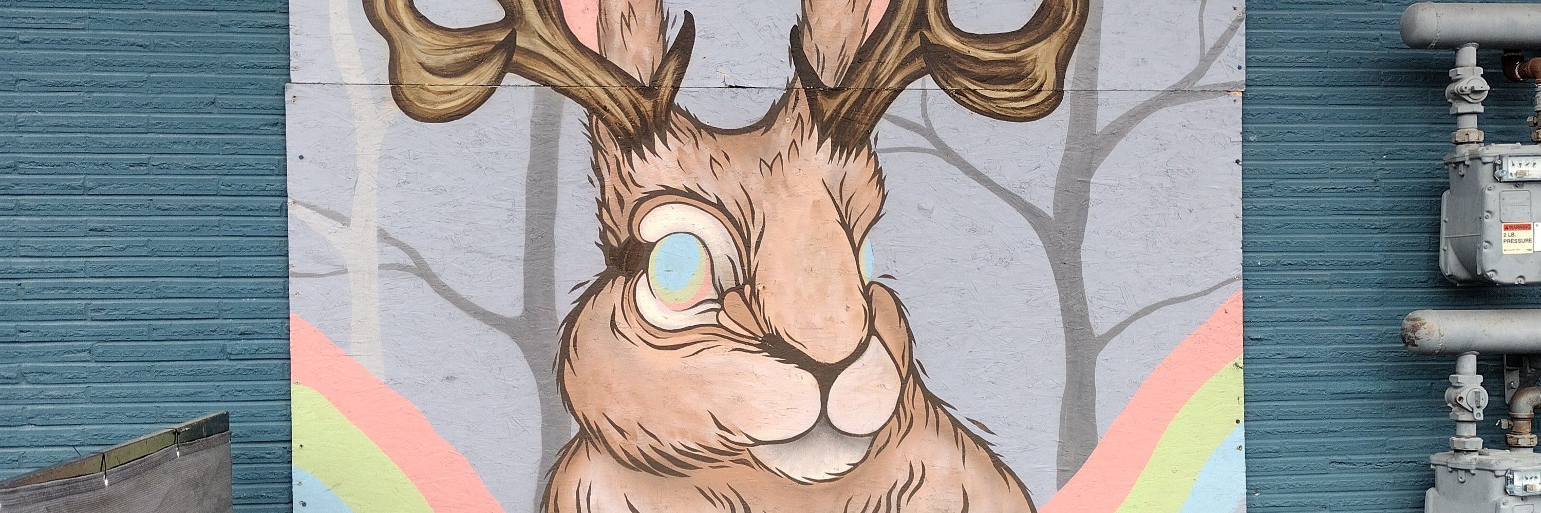 Just Some Grey Bunny