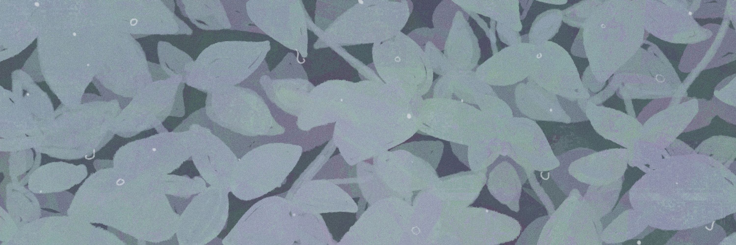 riizu