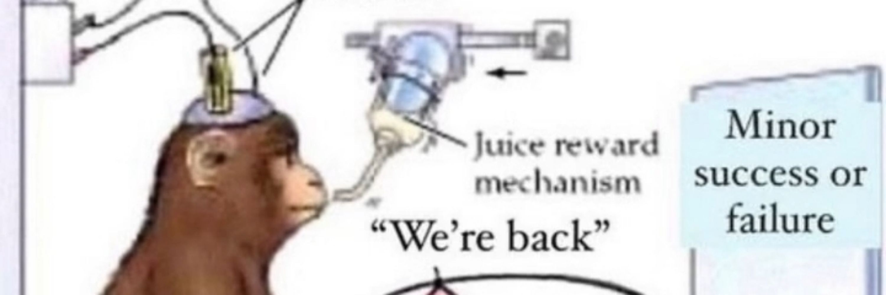 Roy