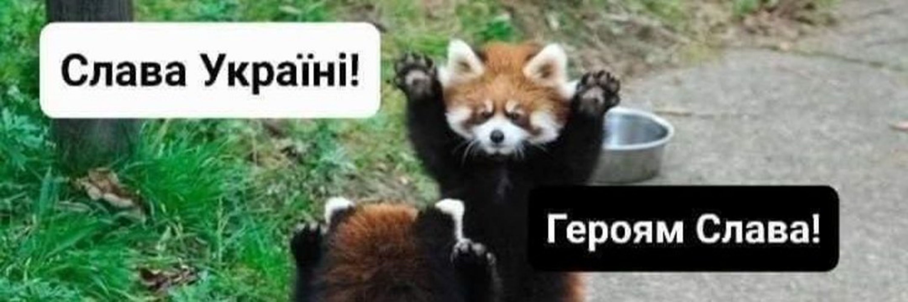 Pandamonium