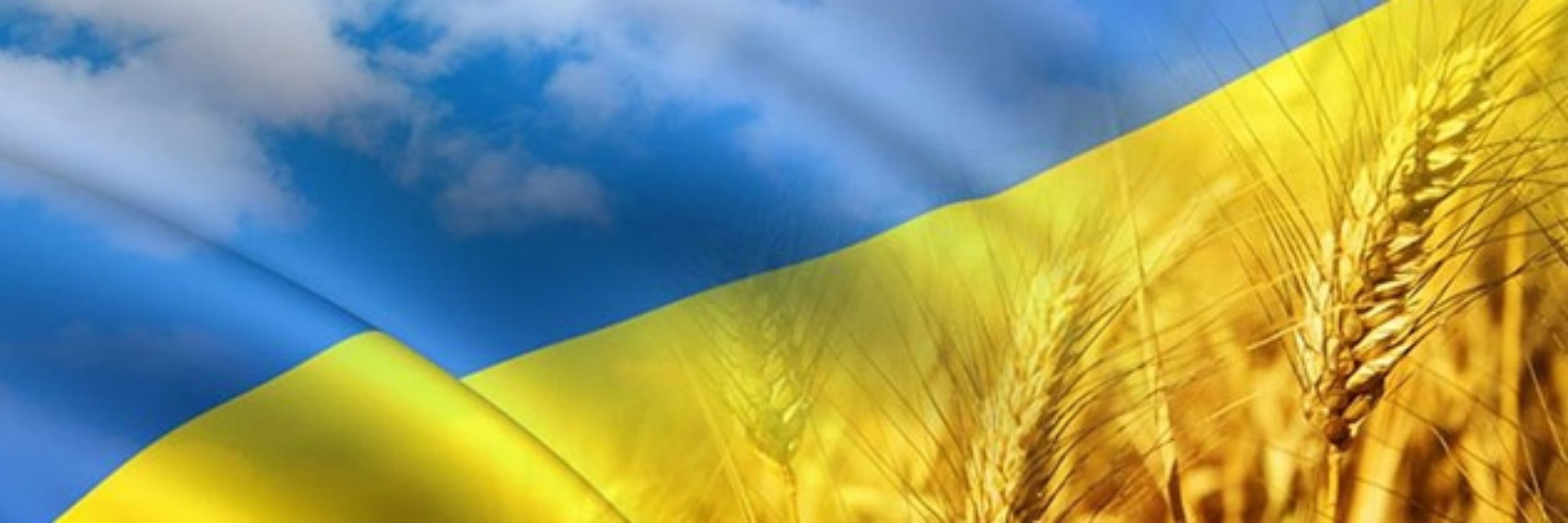 ЄнотікЗробитьБоляче