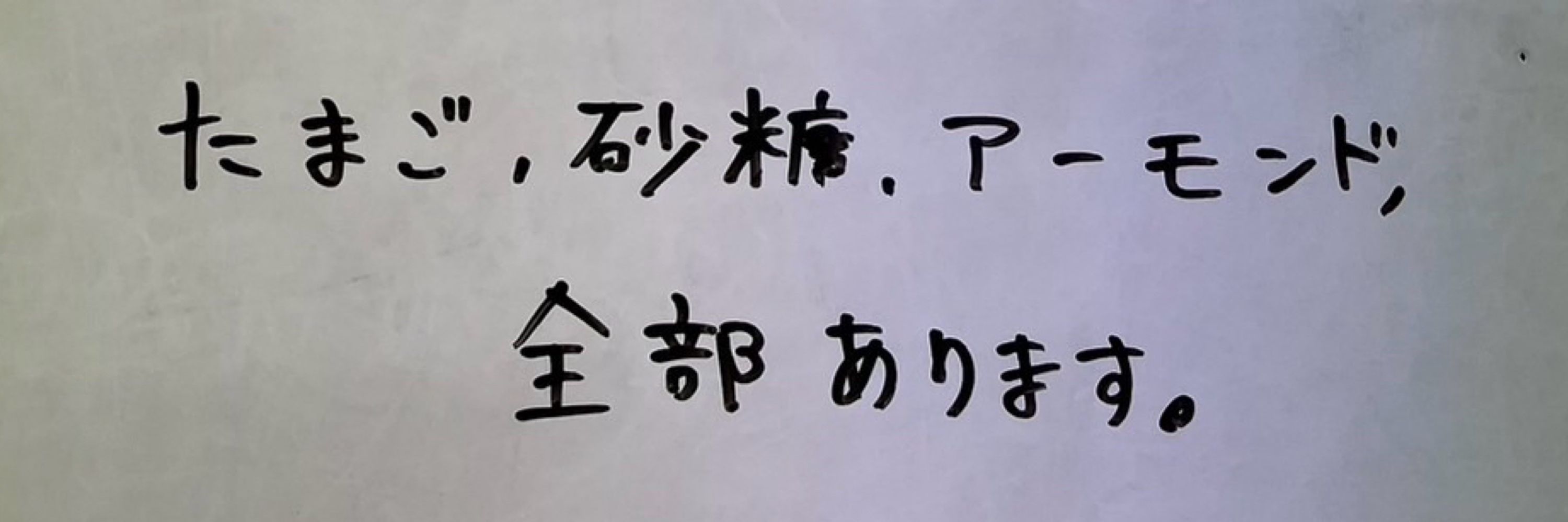 ねこもと2