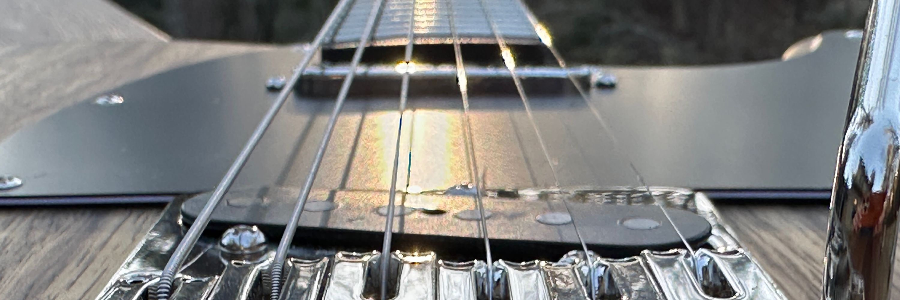Seabaugh Guitars