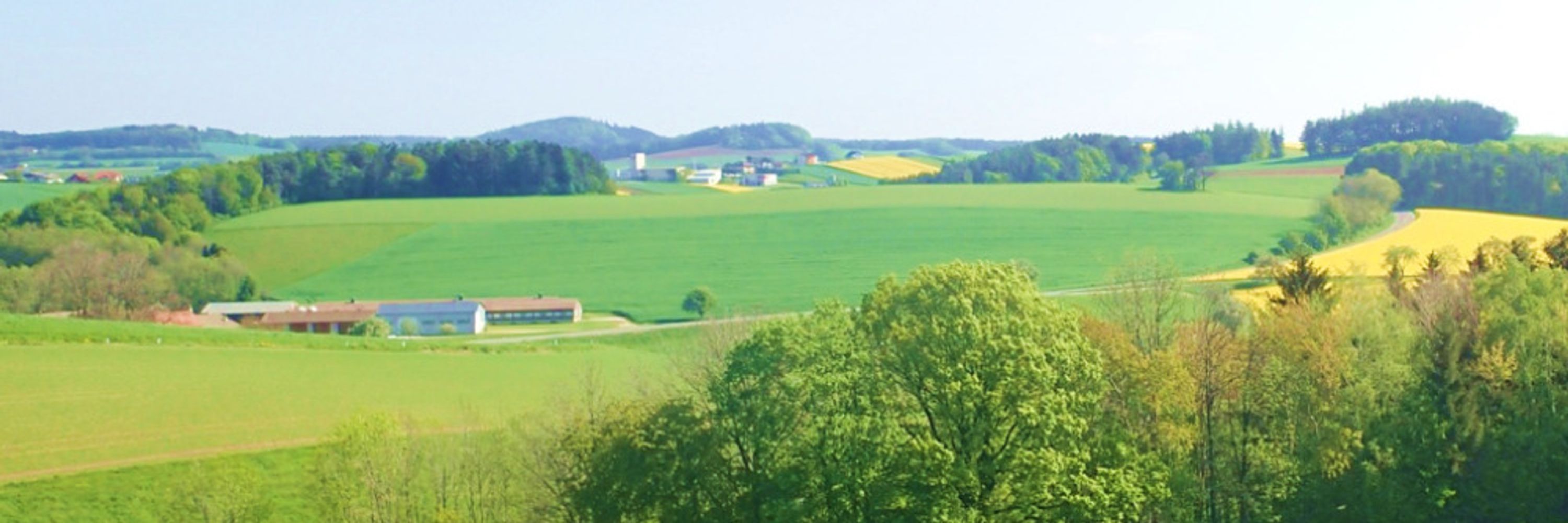 Franz Sinabell