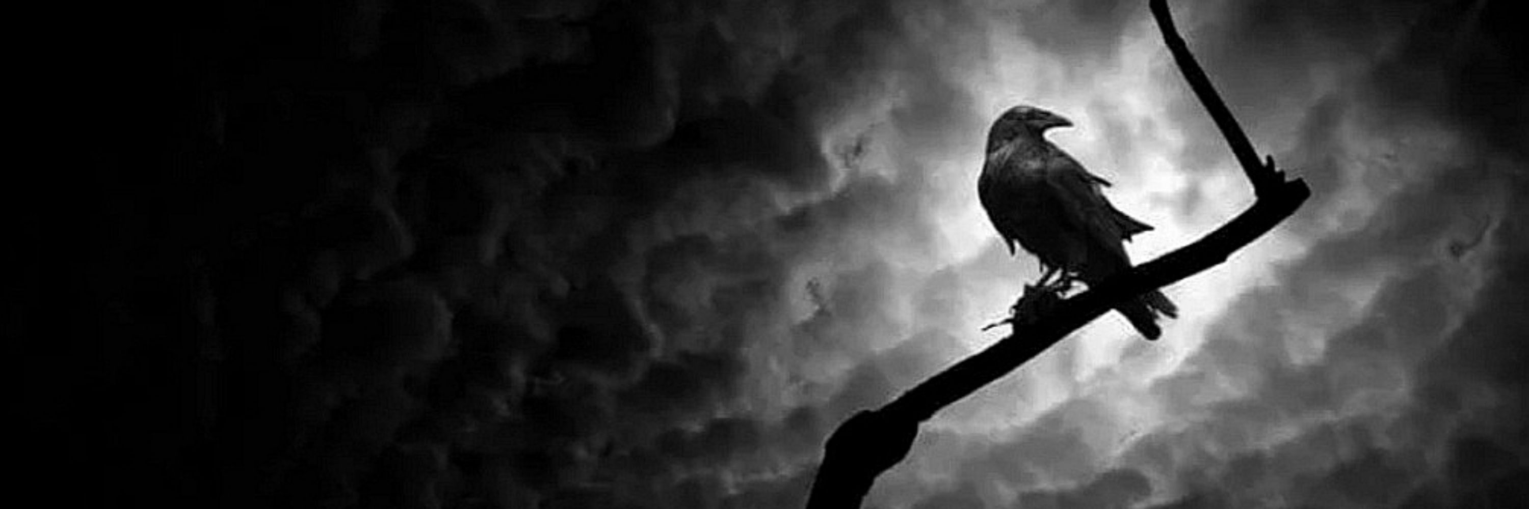 Dylan of the Raven 