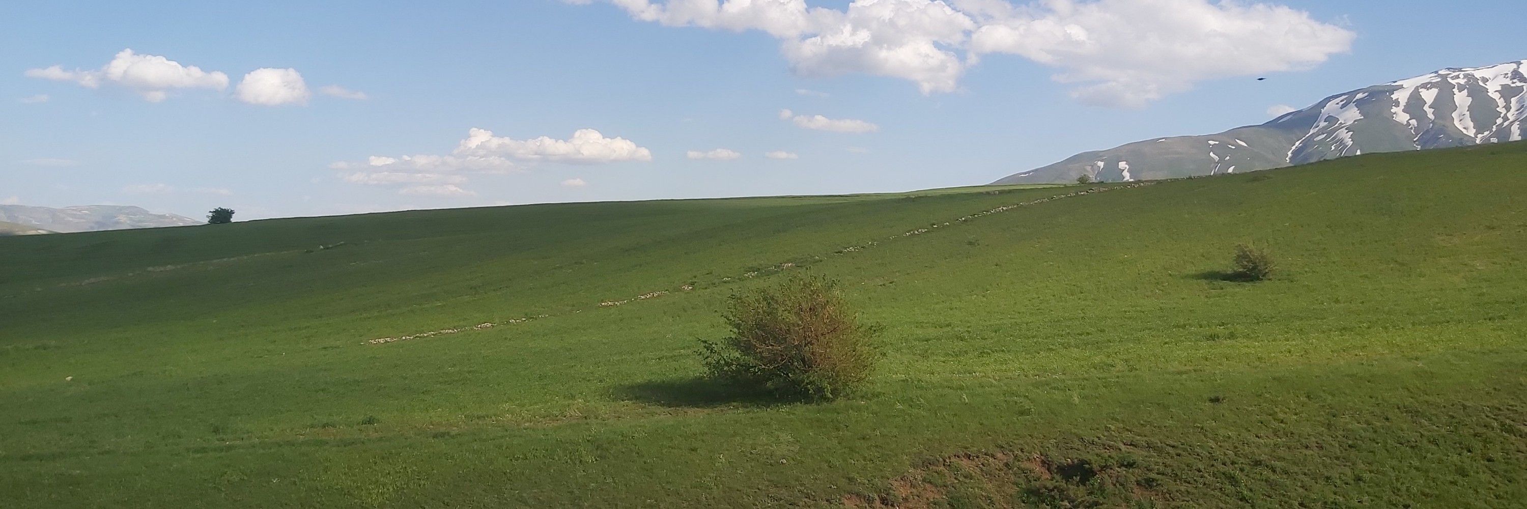 نوه جعفر آقا - پسر جهاندار