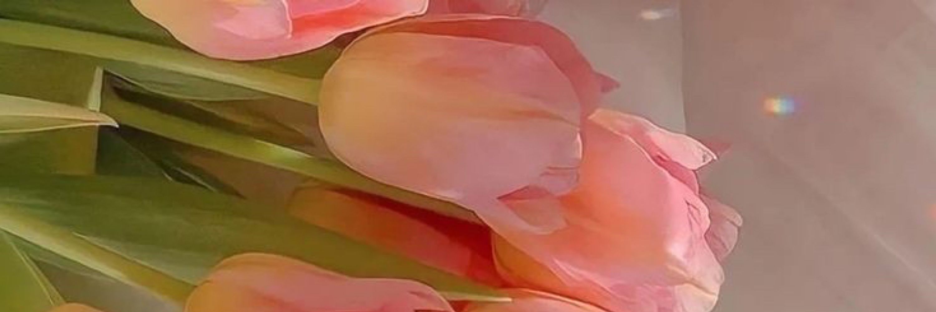 𝓇𝒾𝑒𝓃