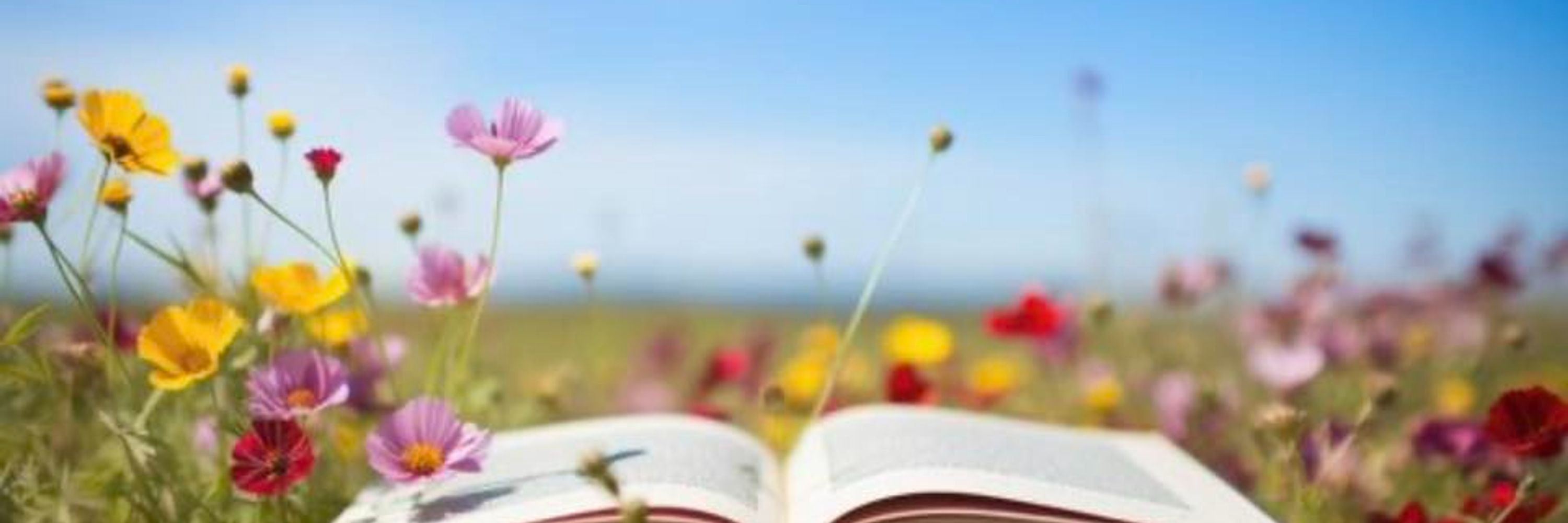 The Reading Hour — South Bend