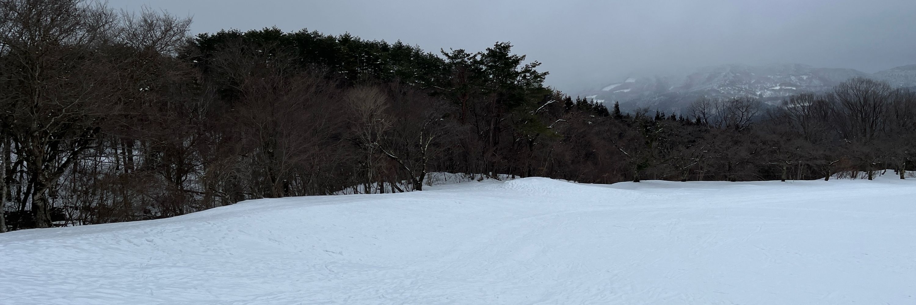 ベニイモ