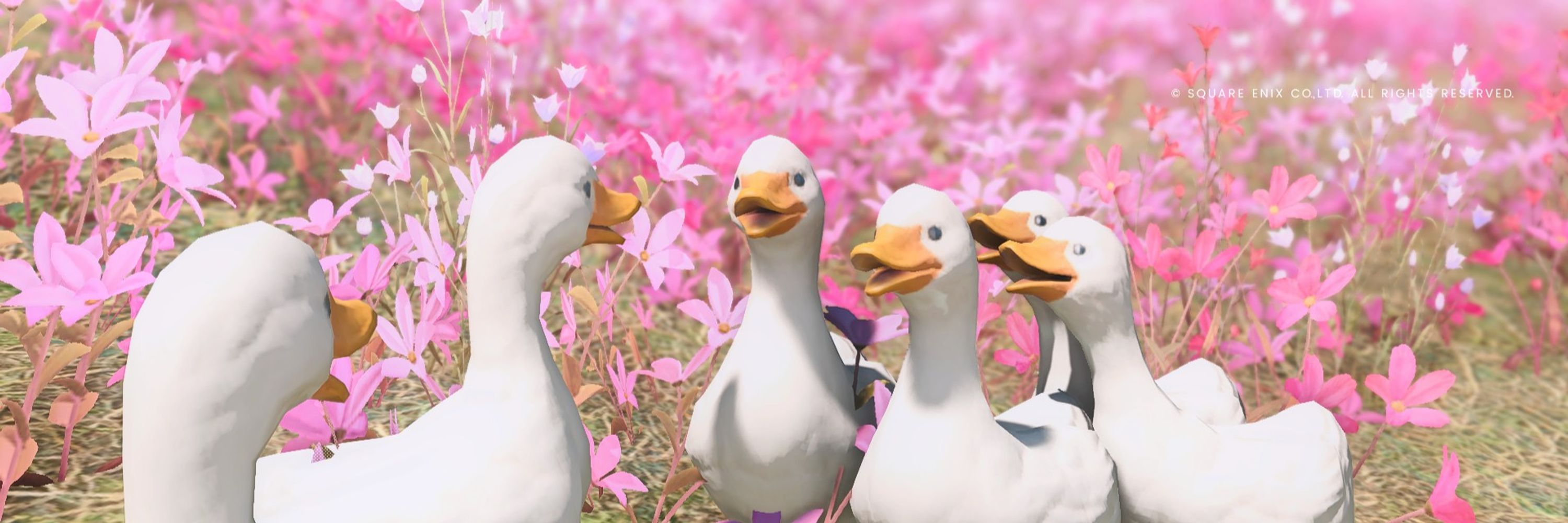 リヒト・ミラ🦆Titan🦆