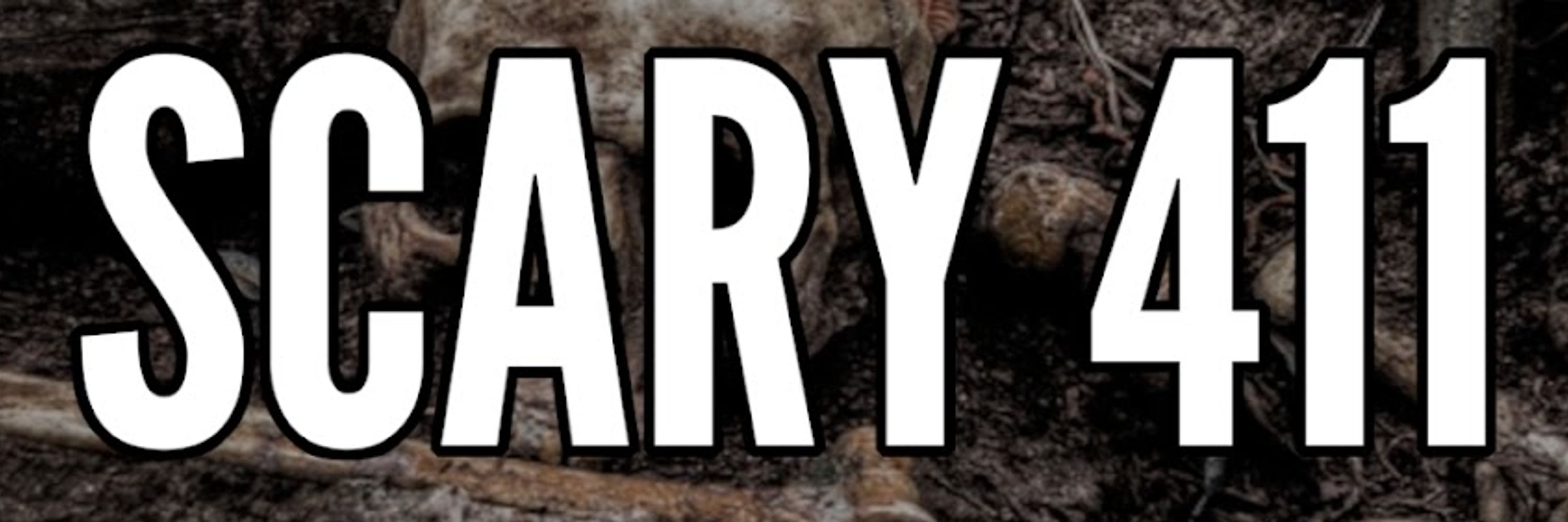 Scary 411
