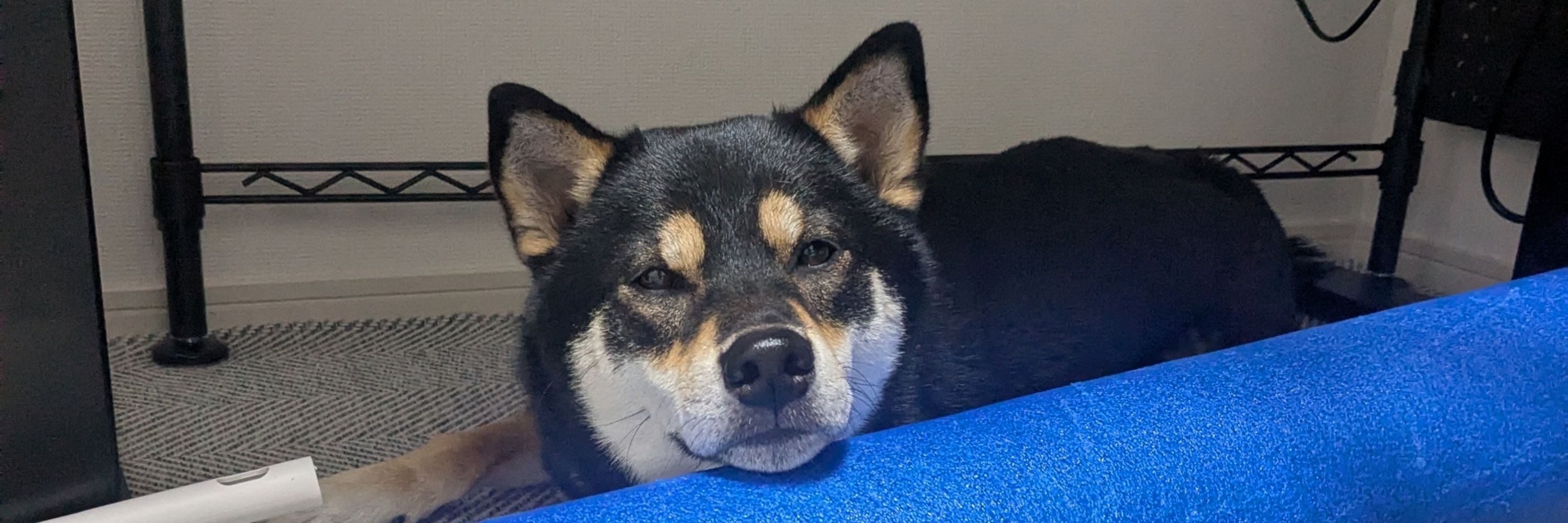 いよ