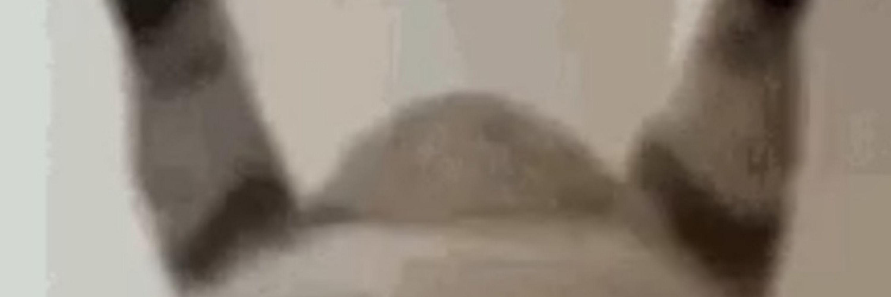 lee