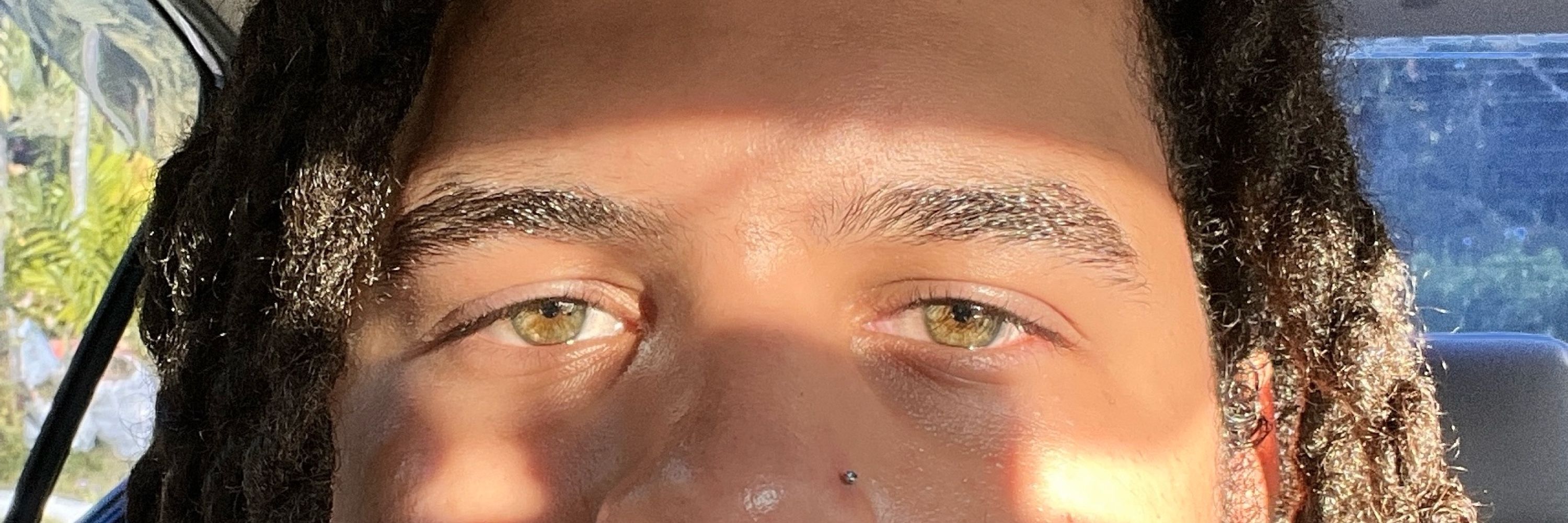 Ashwagandhalf