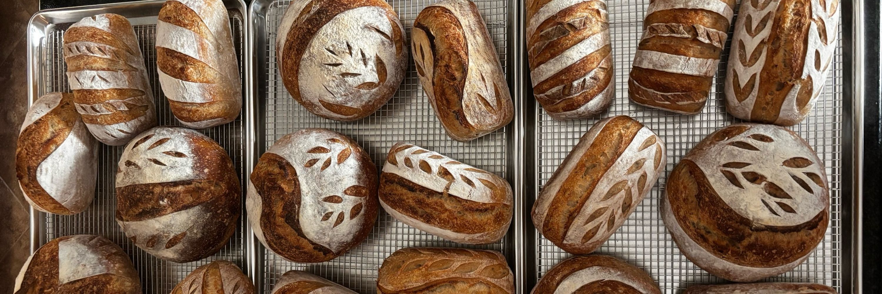 Starter’s Bakery
