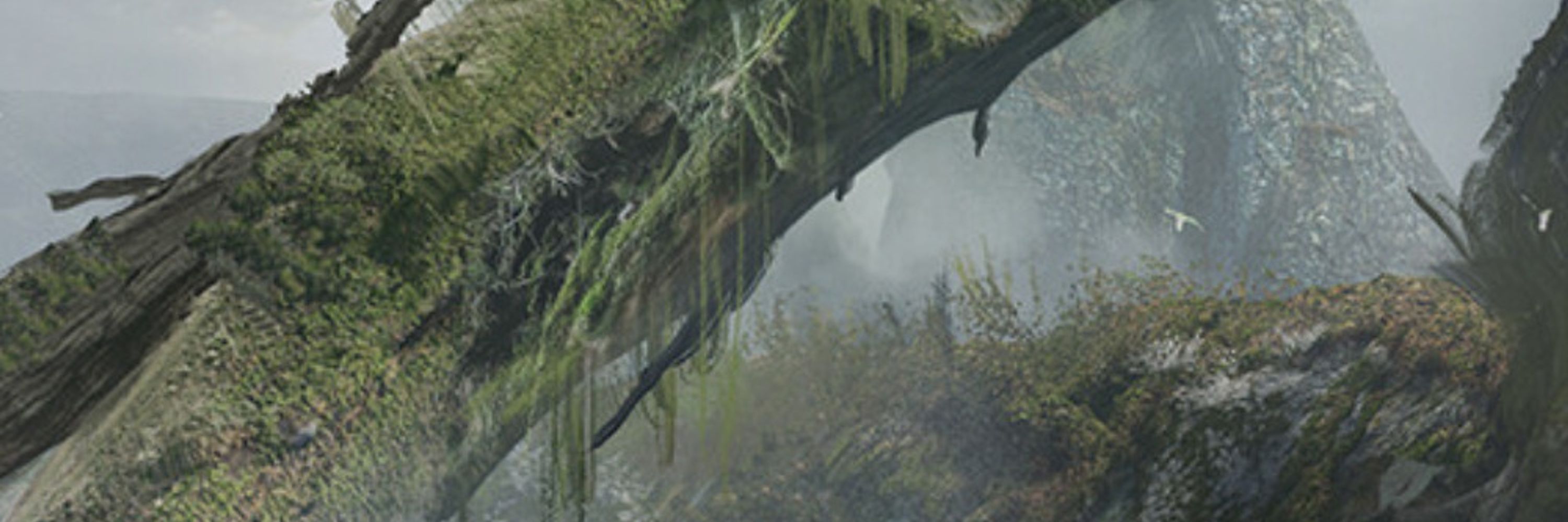 NeoTerra