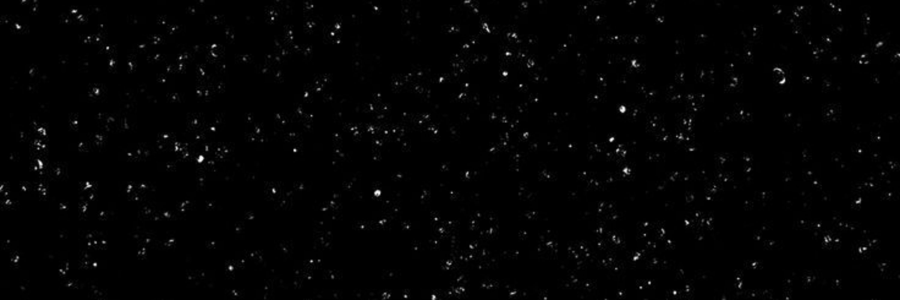 Nyx ★