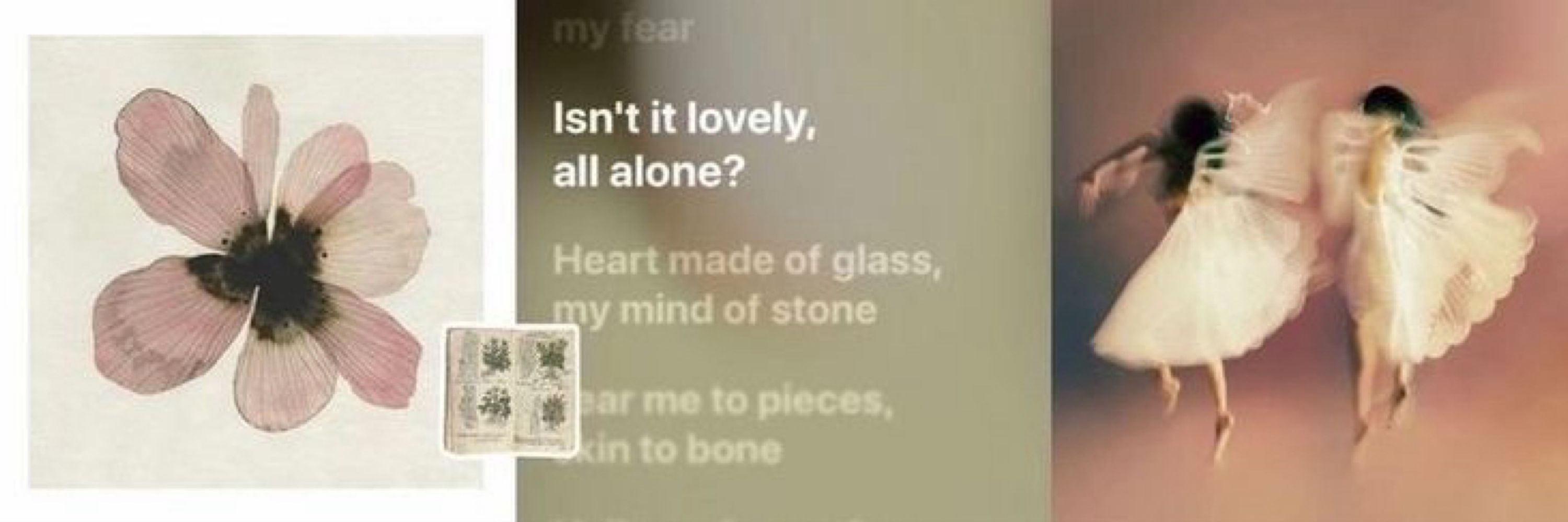 ⭑ ᗷᑌᗷᗷᒪᕮ