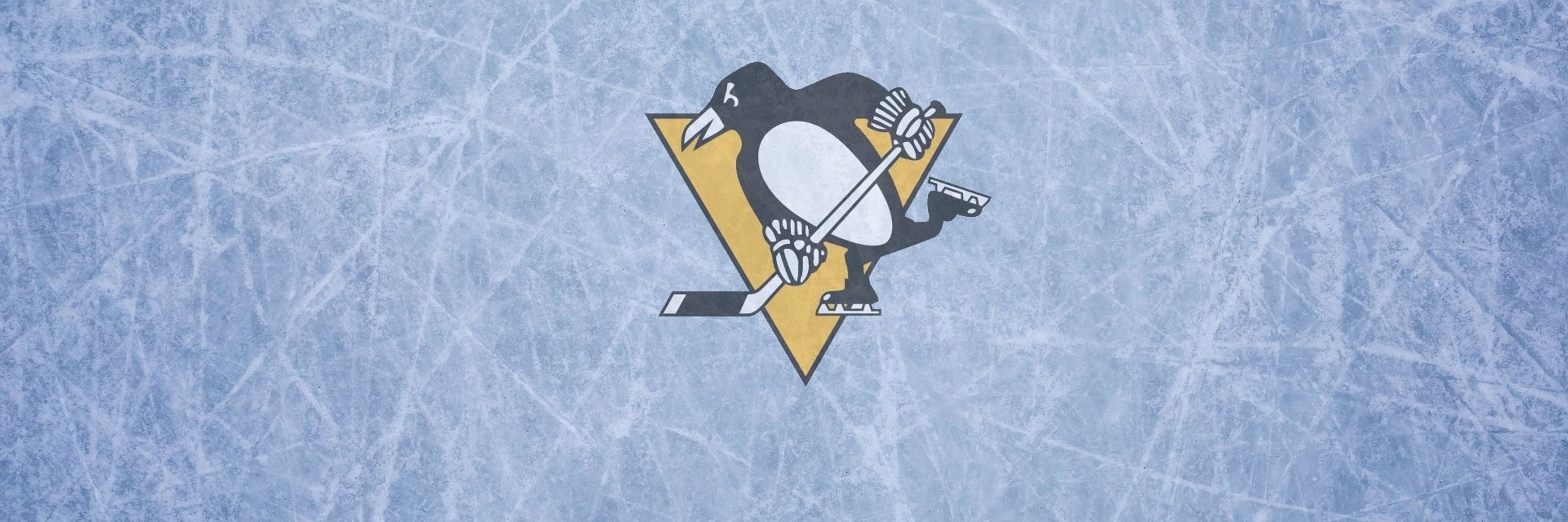 PITTSBURGH PENGUINS FAN