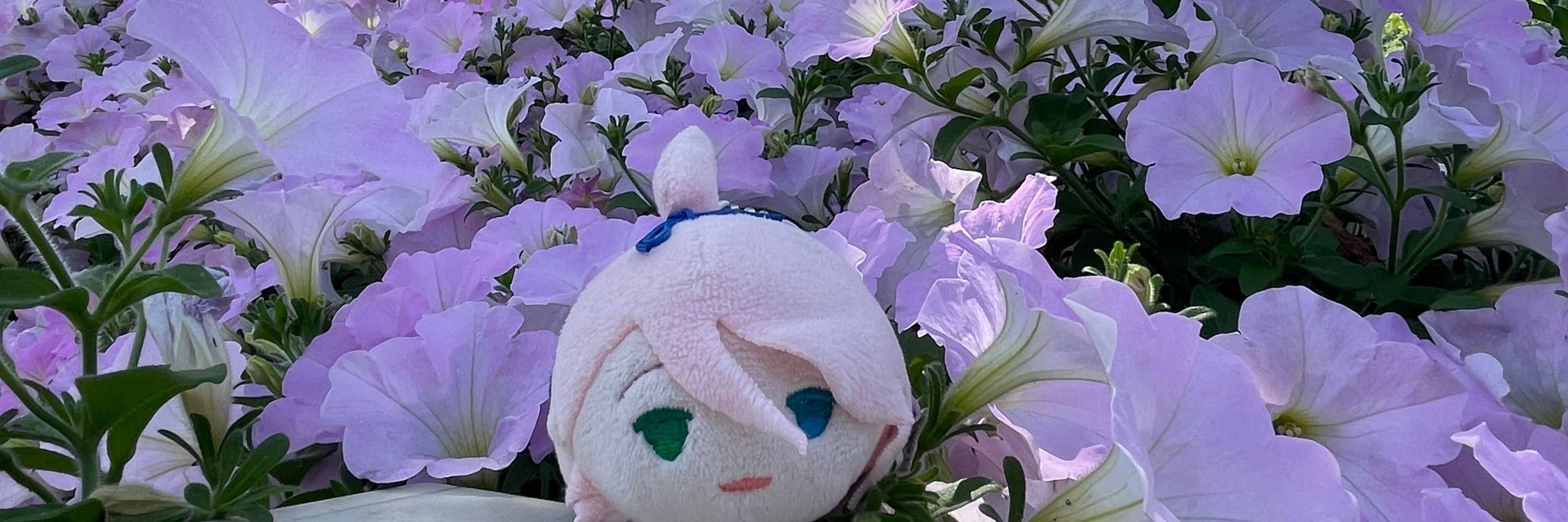 ほっしー✨ ♪( 'ω' و(و