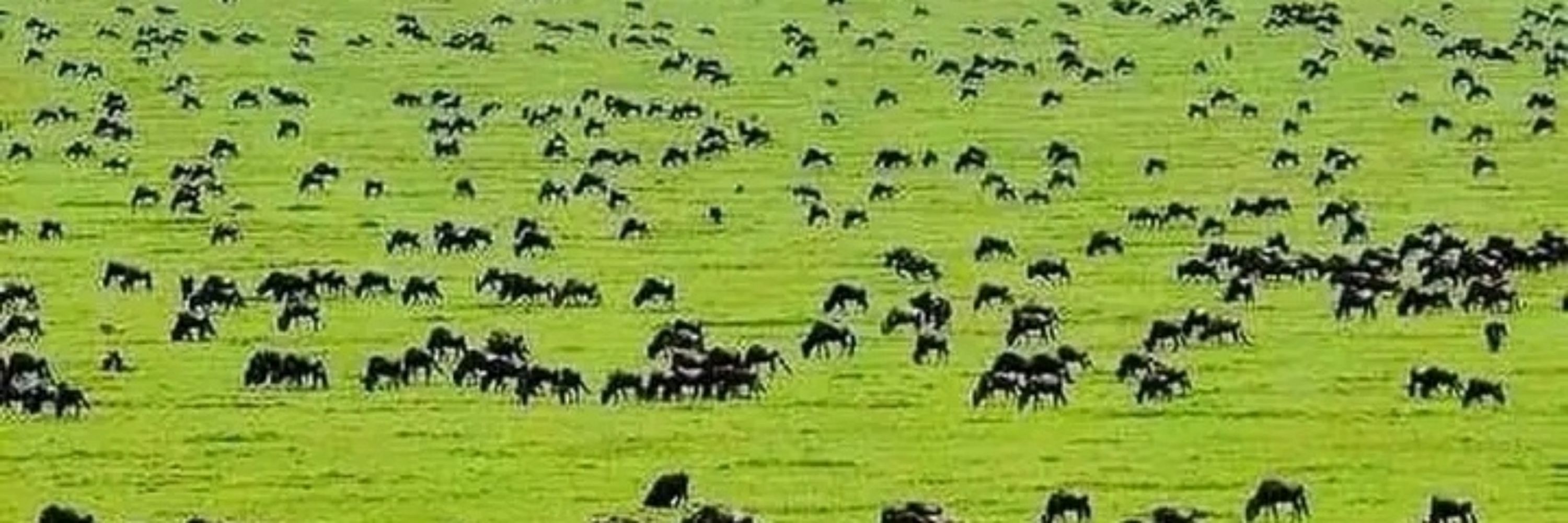 Tukwa ☘️🌱🌍💥
