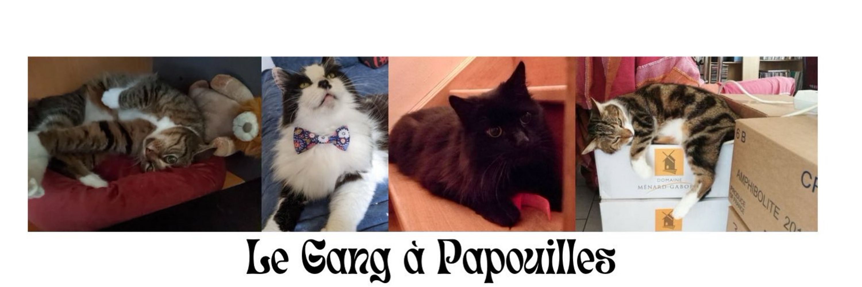 Le Gang à Papouilles