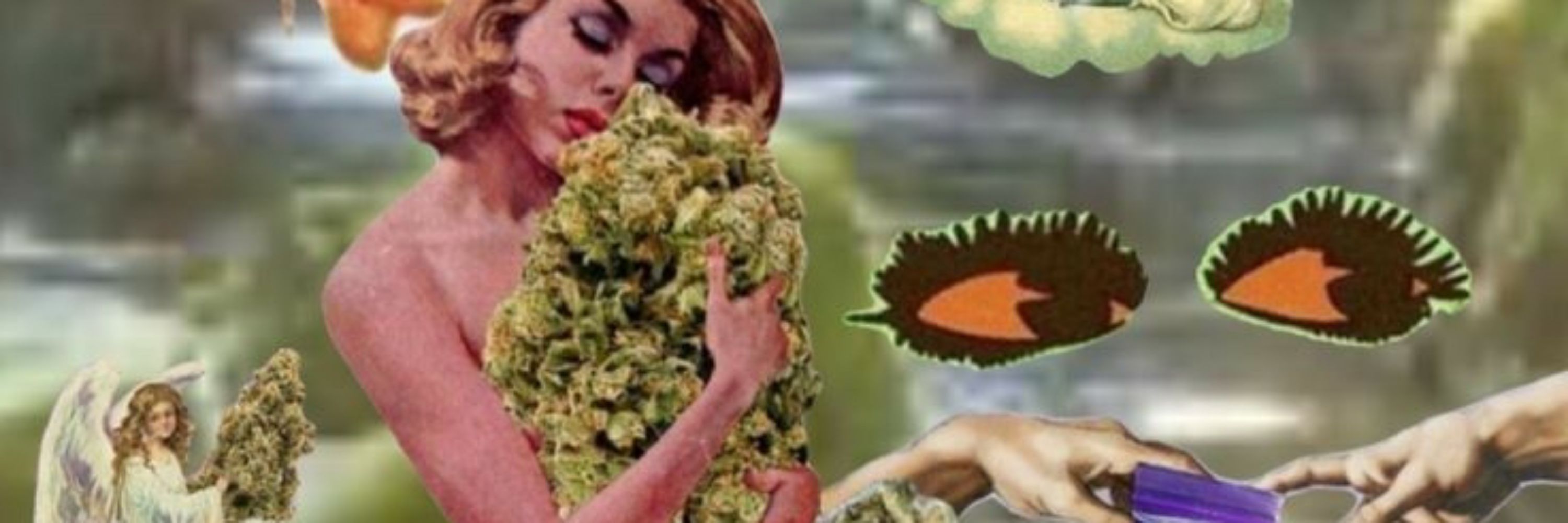 𝑩𝒓𝒖𝒏𝒂 ☯️